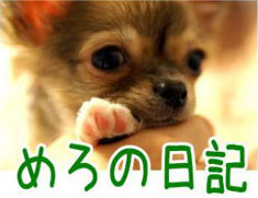 `̃uO